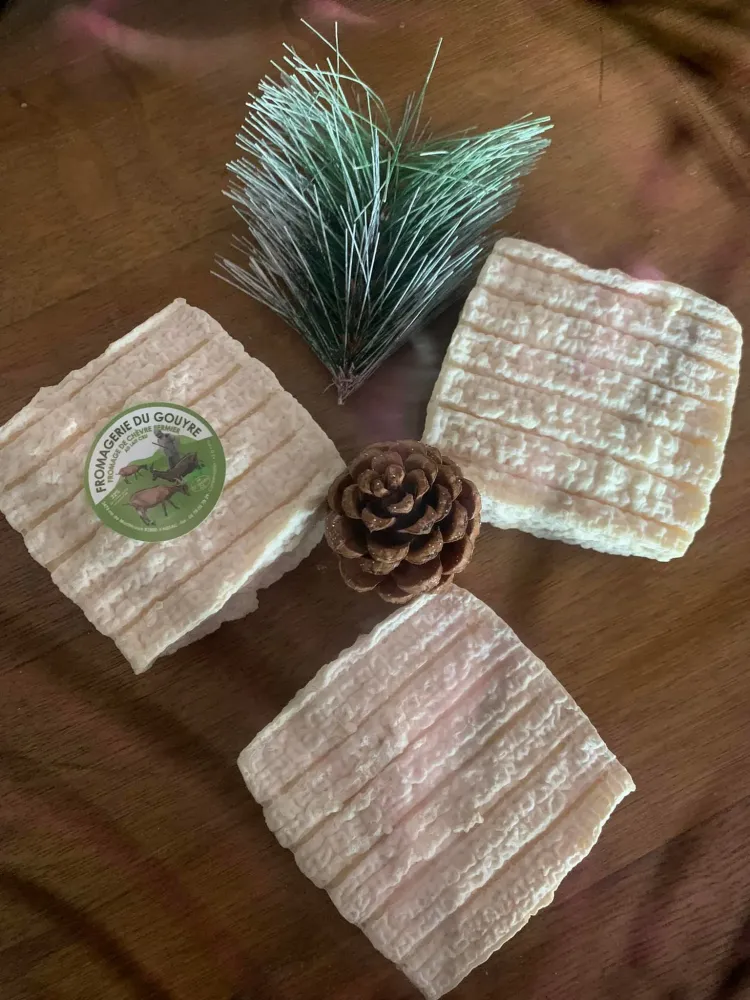 Fromagerie du Gouyre (7)