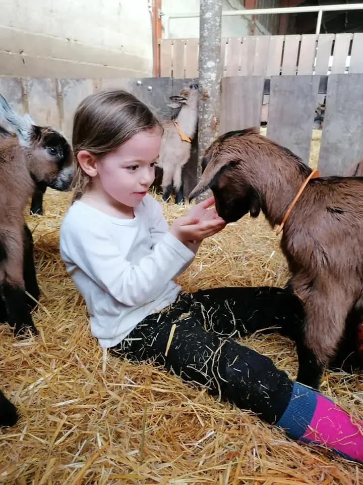 La galerie photos de La Fromagerie du Gouyre à Vaissac 002