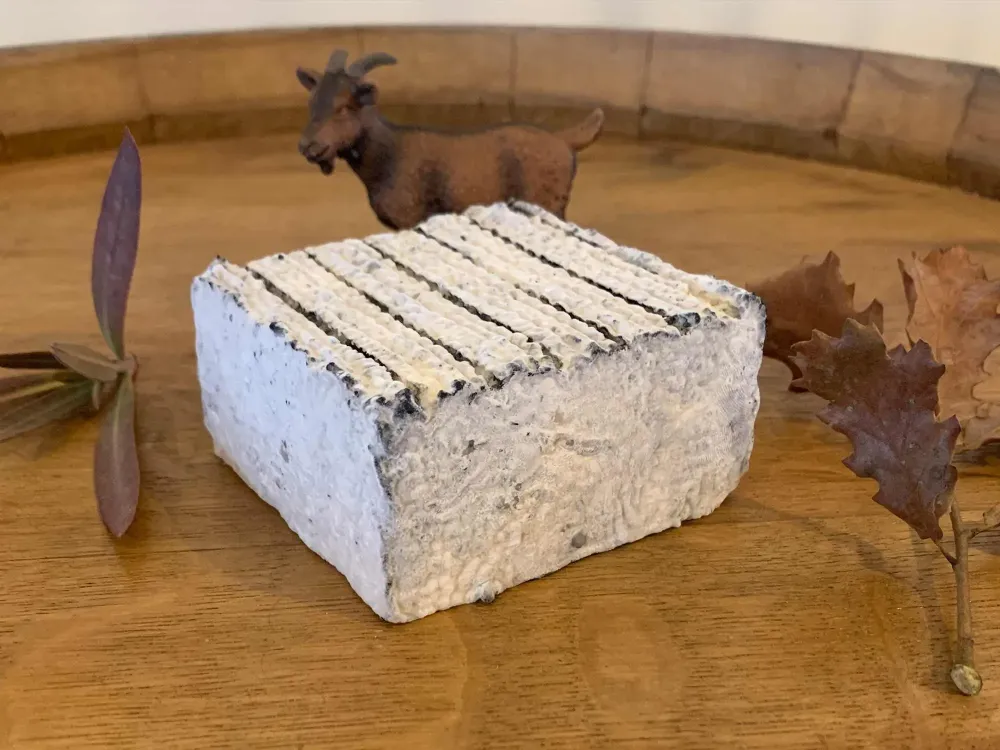 La galerie photos de la fromagerie (13)