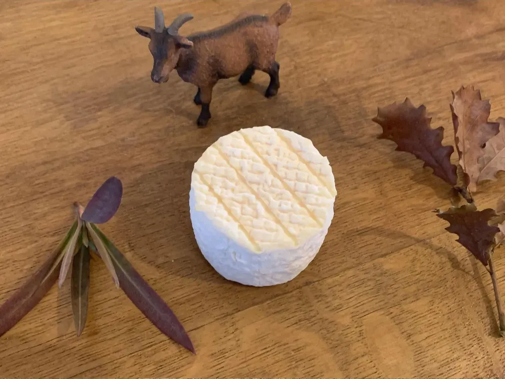 La galerie photos de la fromagerie (1)