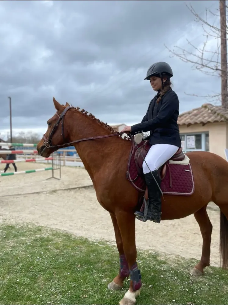 ecurie de la boissière (1)